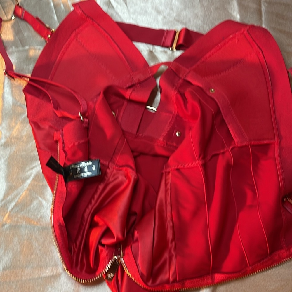 Honey Birdette Carter Red Bodysuit - Picture 7 of 7